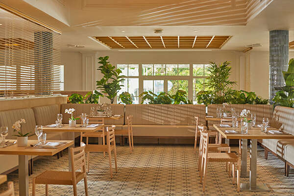 Caney Buffet Internacional Caney Buffet Internacional