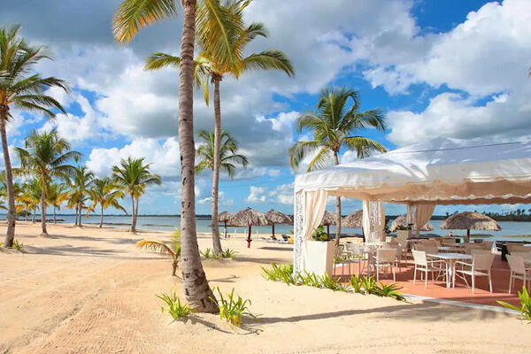 Coconut Bar de Plage